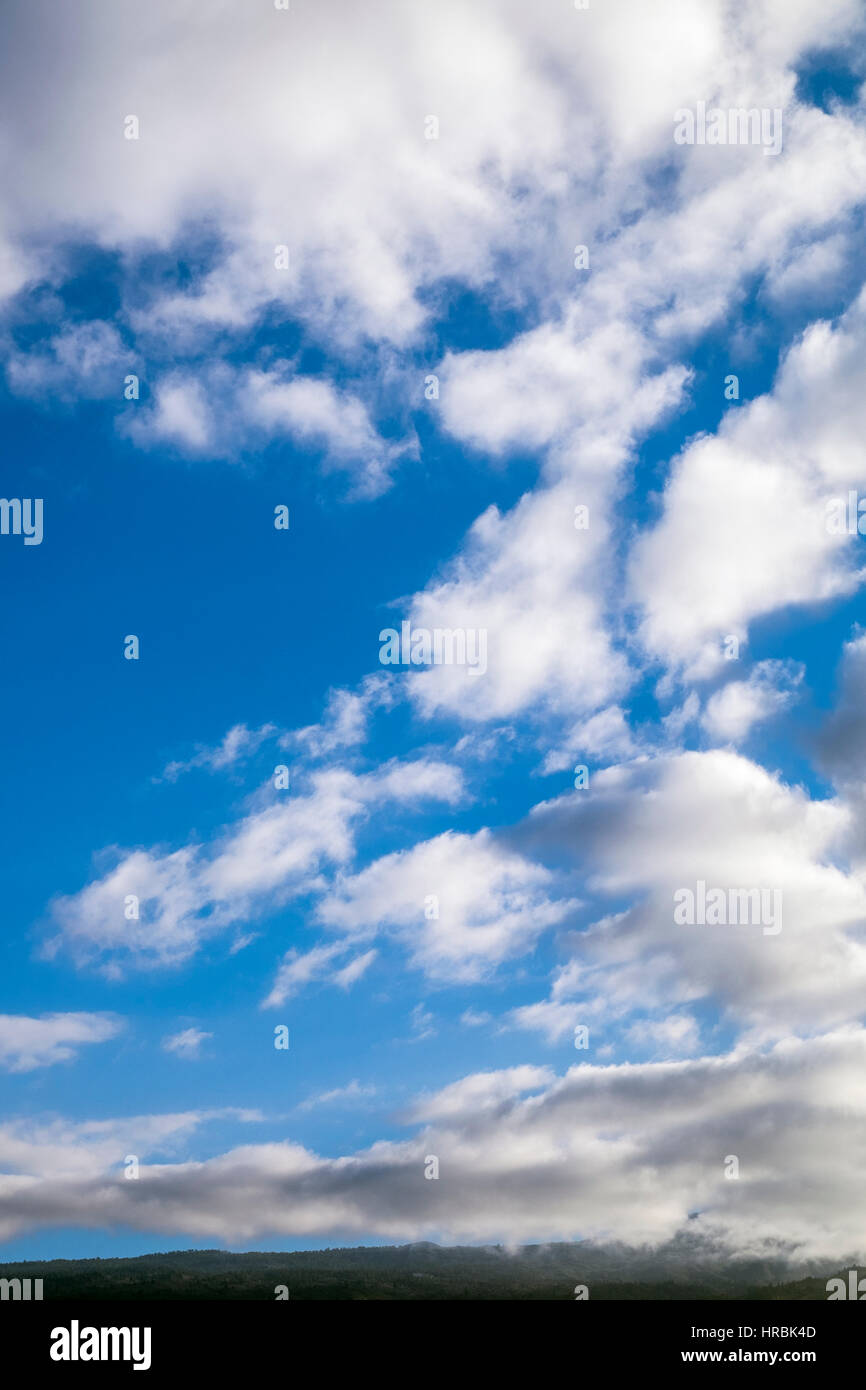 Wolken und blauer Himmel über Teneriffa, Kanarische Inseln, Spanien Stockfoto