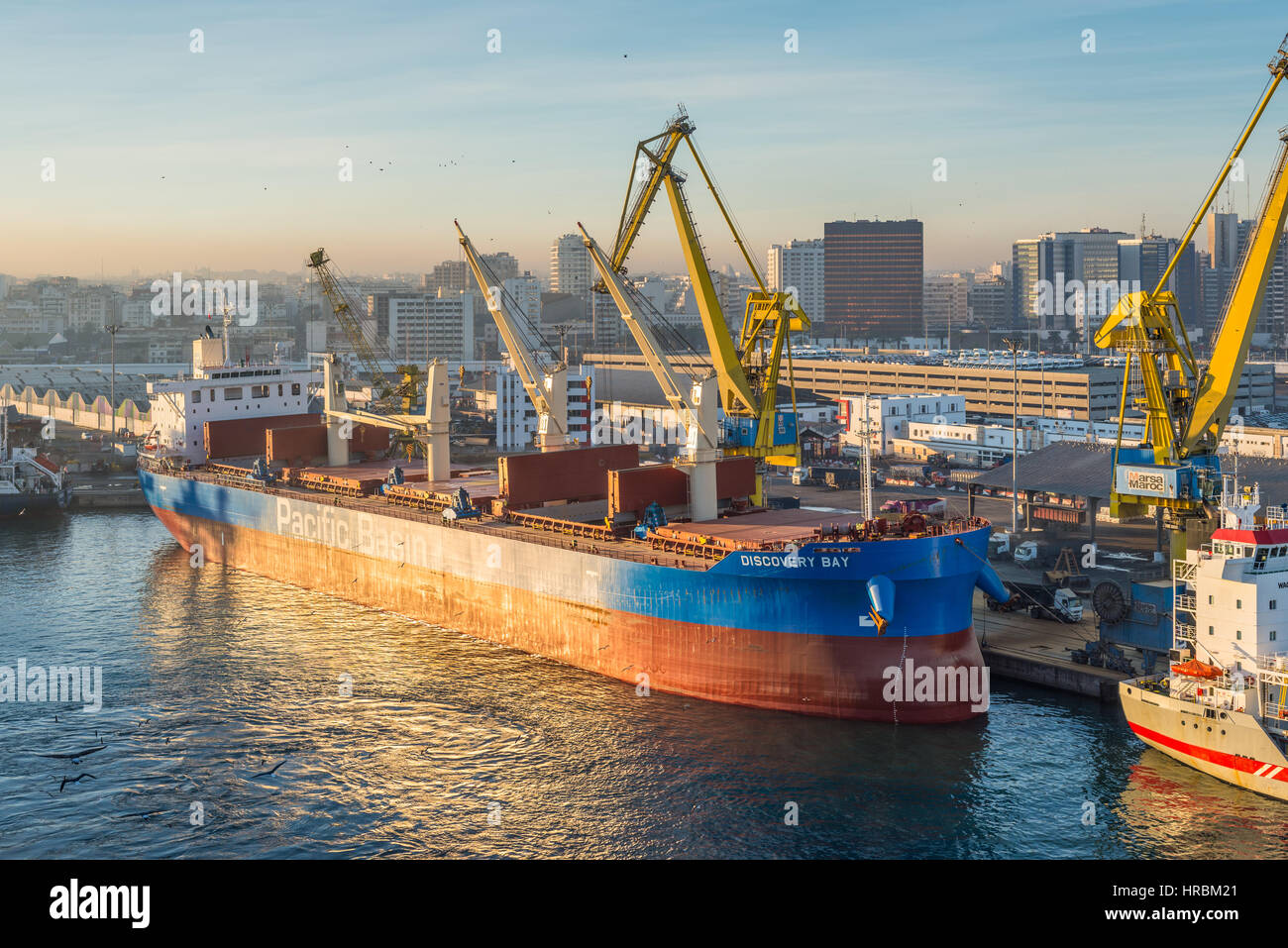 Casablanca, Marokko - 8. Dezember 2016: Frachter Discovery Bay (Bulk Carrier) in den frühen Morgenstunden in der Morgendämmerung in den Hafen von Casablanca, Marokko. Stockfoto