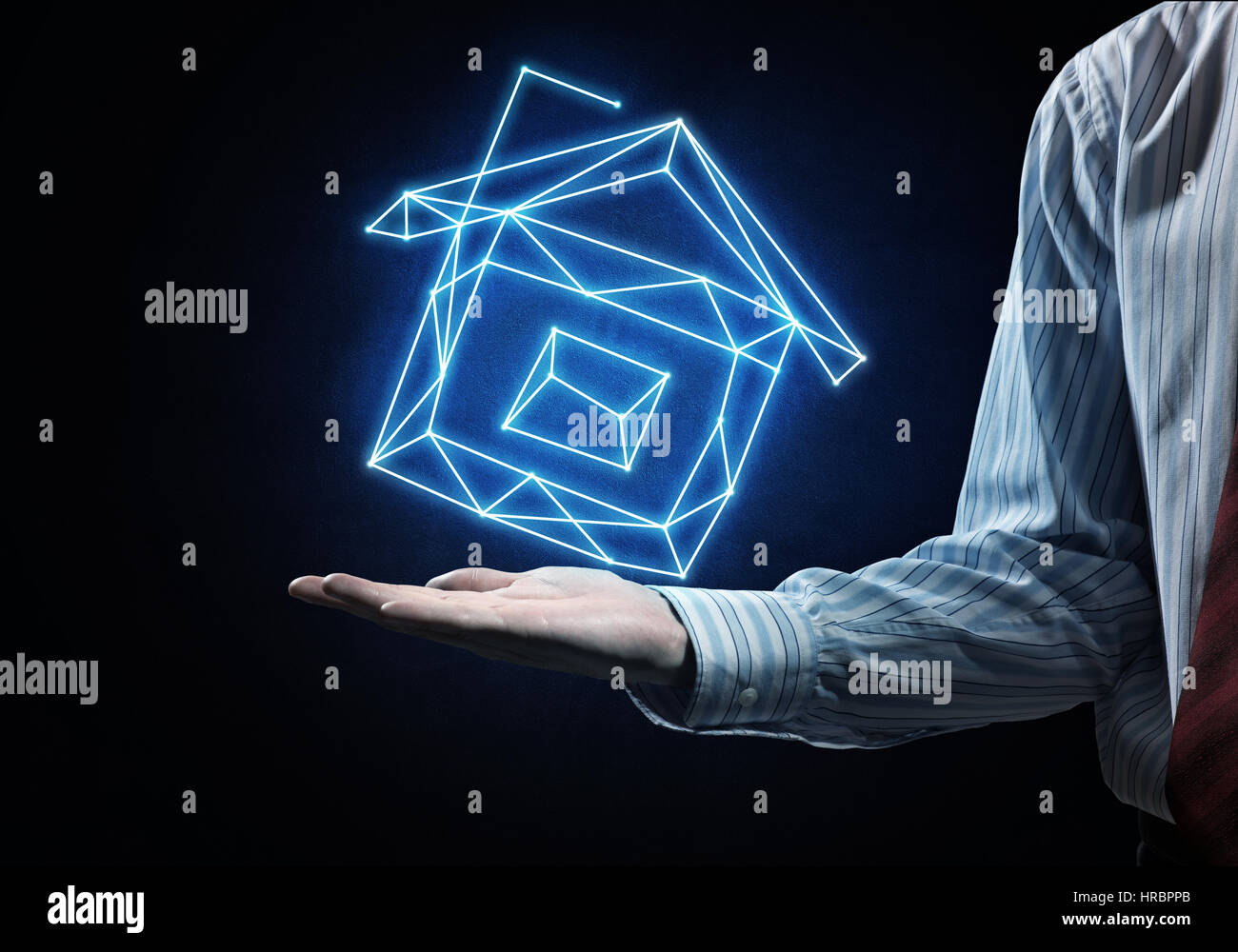 Haus-Symbol in palm Stockfoto