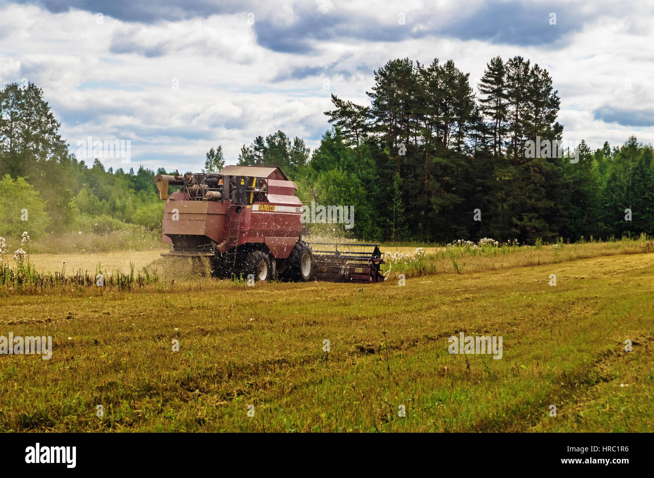 Reinigung von landwirtschaftlichen Bereich durch Harvester. Stockfoto