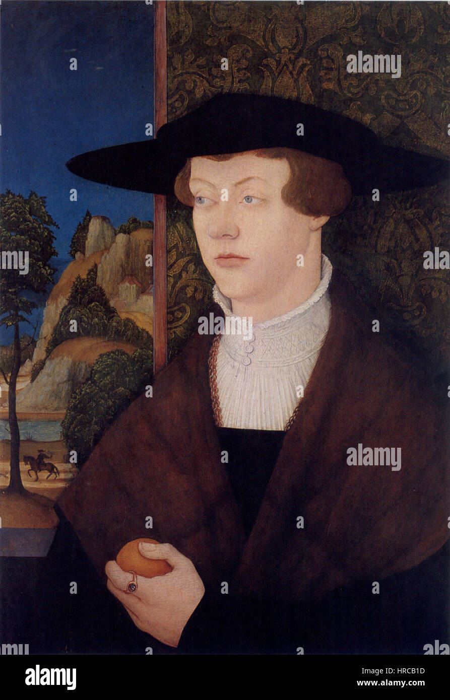 Bernhard Strigel Asthmaattacken Hans Rott 1527 Stockfoto