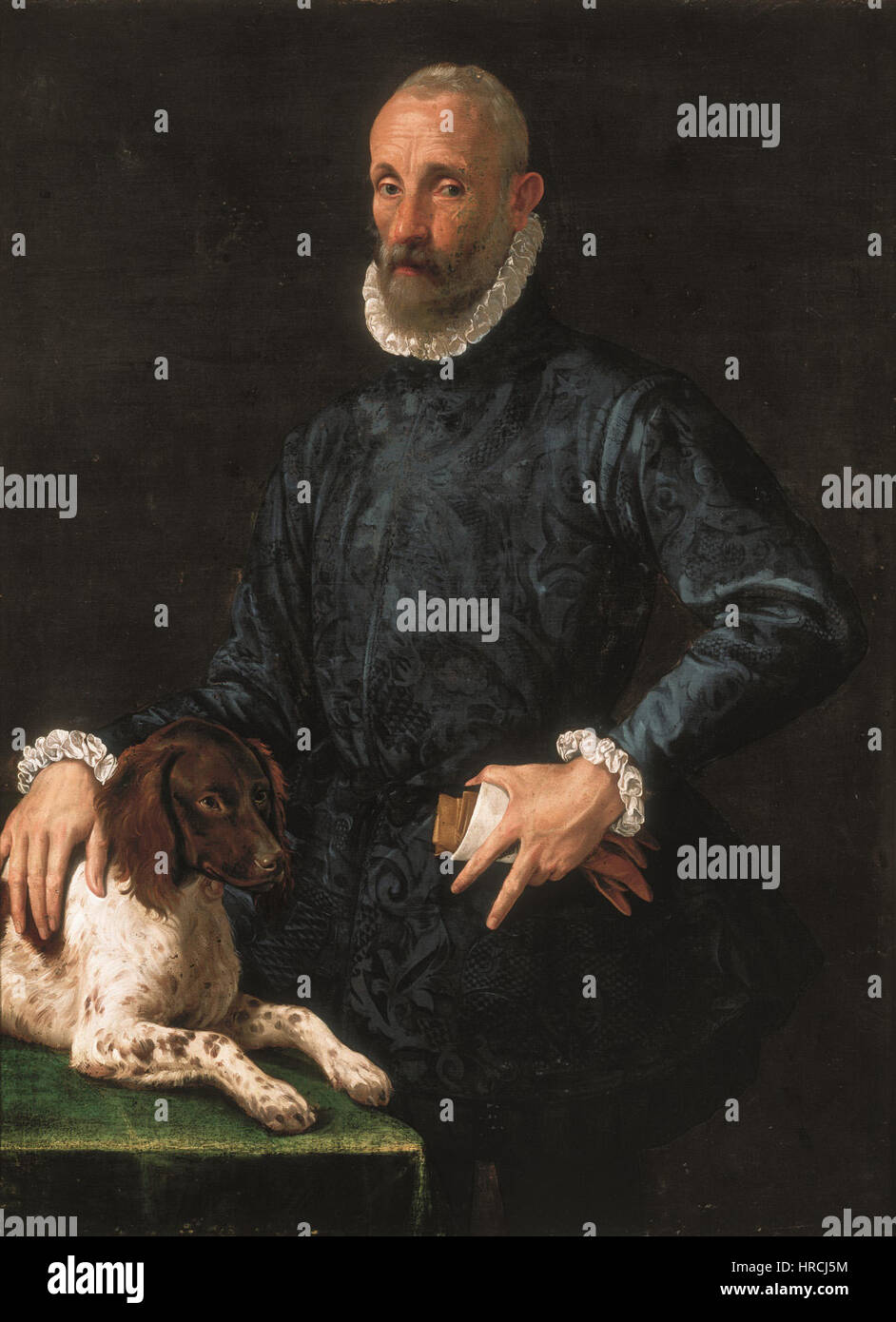 Ritratto di Gentiluomo con Cane - Passerotti Stockfoto