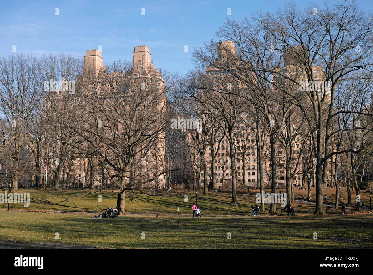Central Park, Winter, Sonne, Manhattan, USA Stockfoto