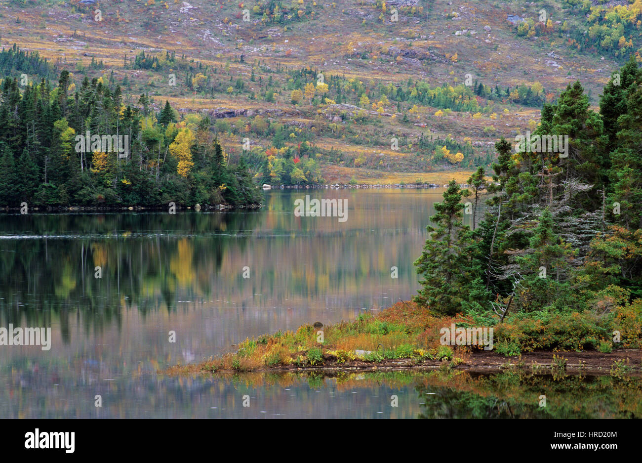 See in der Nähe von Swift Current, Burin-Halbinsel, Neufundland und Labrador, Kanada Stockfoto