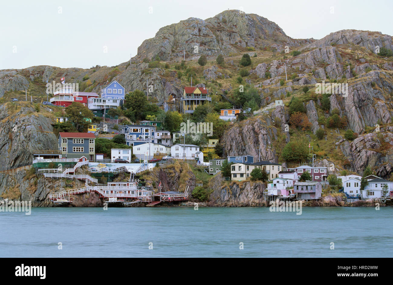 Blick auf Häuser, Saint John's, Neufundland vom Signal Hill, Kanada Stockfoto