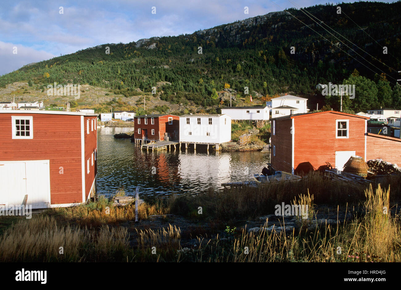 Bootshäuser in dem Fischerdorf Salvage, Neufundland und Labrador, Kanada Stockfoto
