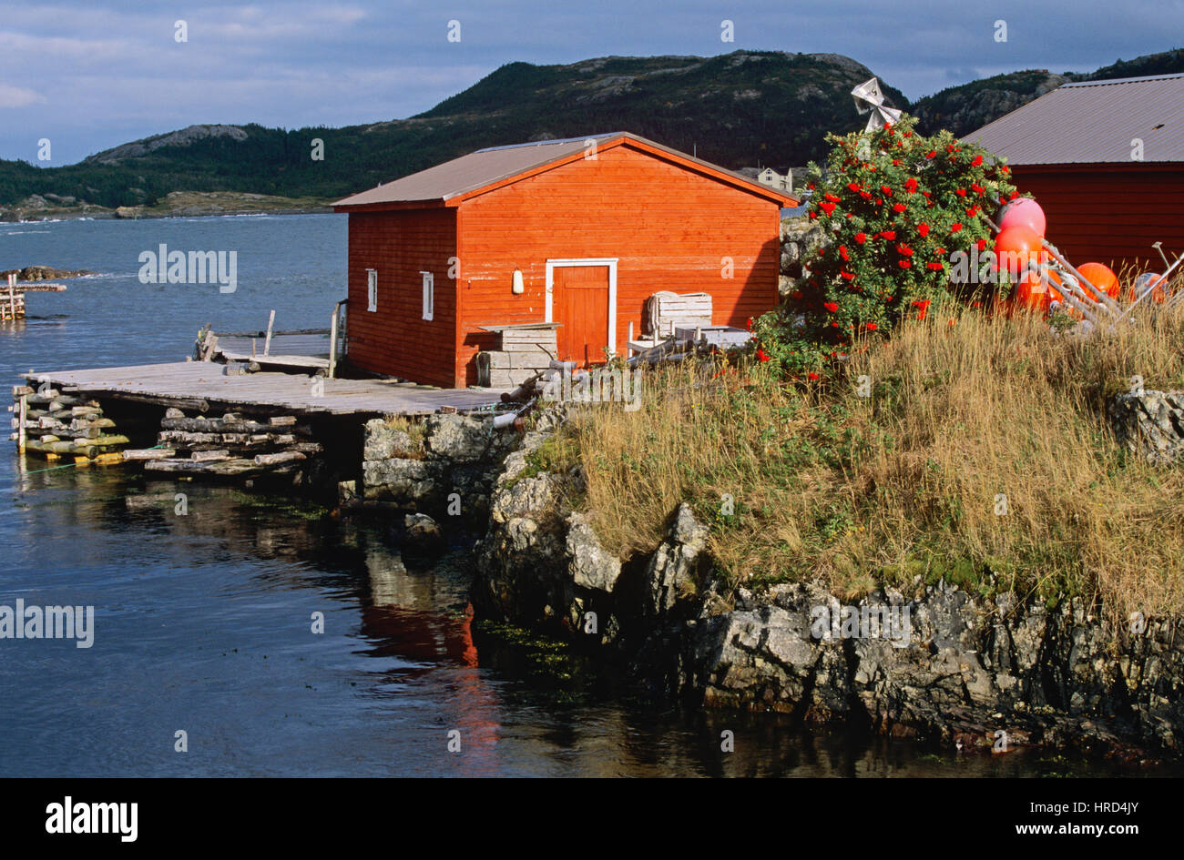 Bootshäuser in dem Fischerdorf Salvage, Neufundland und Labrador, Kanada Stockfoto