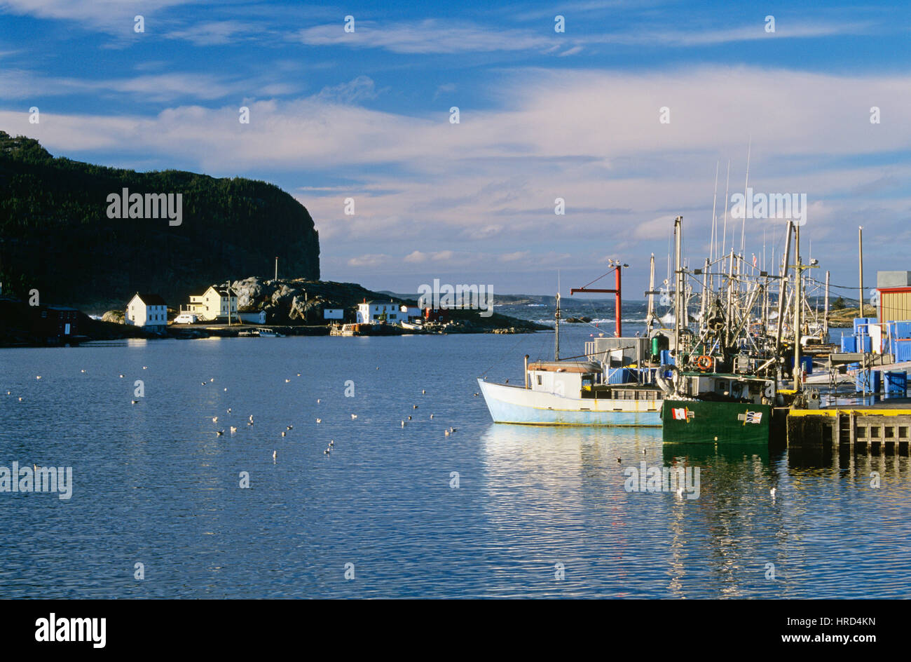Angelboote/Fischerboote in den historischen Fischerdorfes Salvage, Neufundland und Labrador, Kanada Stockfoto