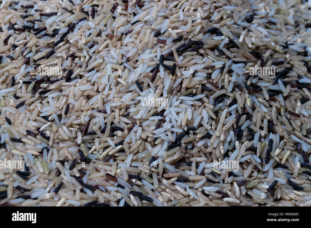Multi-Korn-Reis gemischt für die gesunde Ernährung. Roher Reis besteht aus hauptsächlich braun Jasmin-Reis, schwarzen Riceberry Reis und einige weiße Jasminreis für bessere Stockfoto