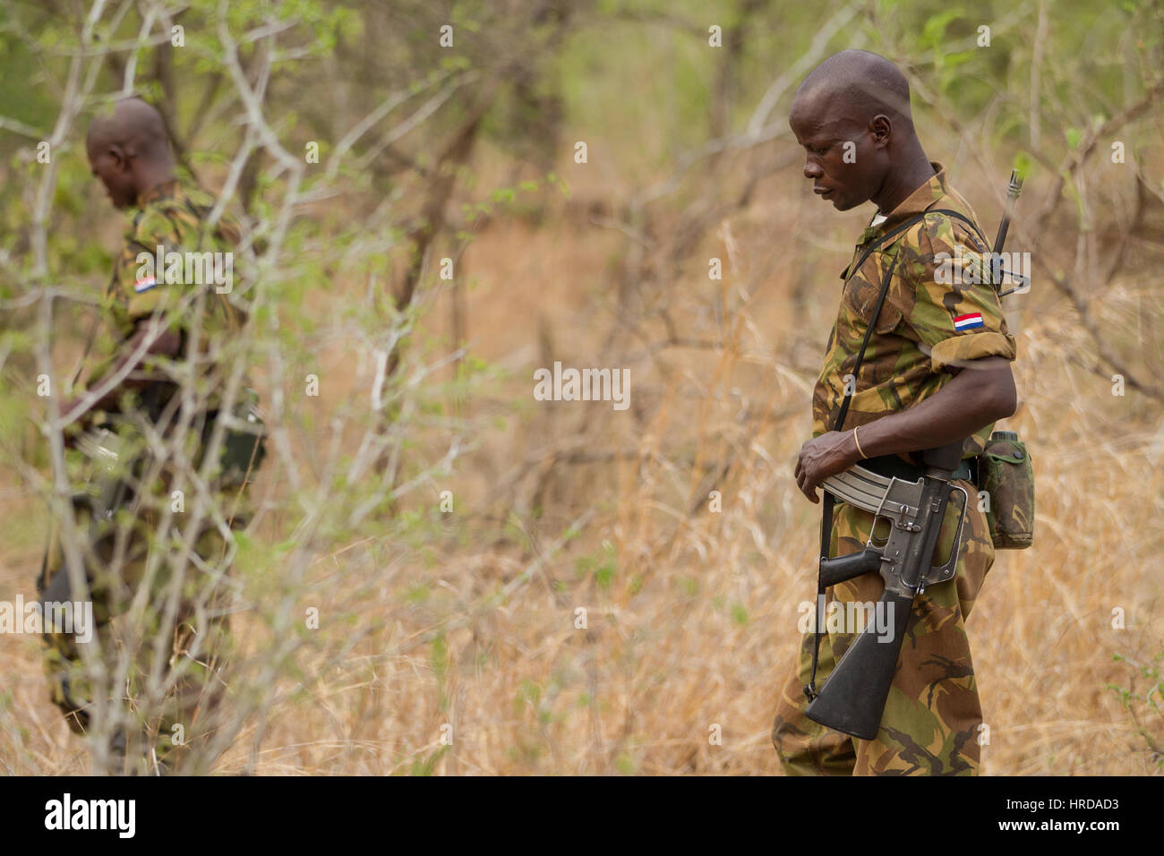 Majete Wildlife Reserve in Malawi ist der einzige Park mit den Big Five im Land. Spezielle Ranger tun Anti-Wilderer-Patrouillen um Nashorn-Wilderei zu stoppen. Stockfoto