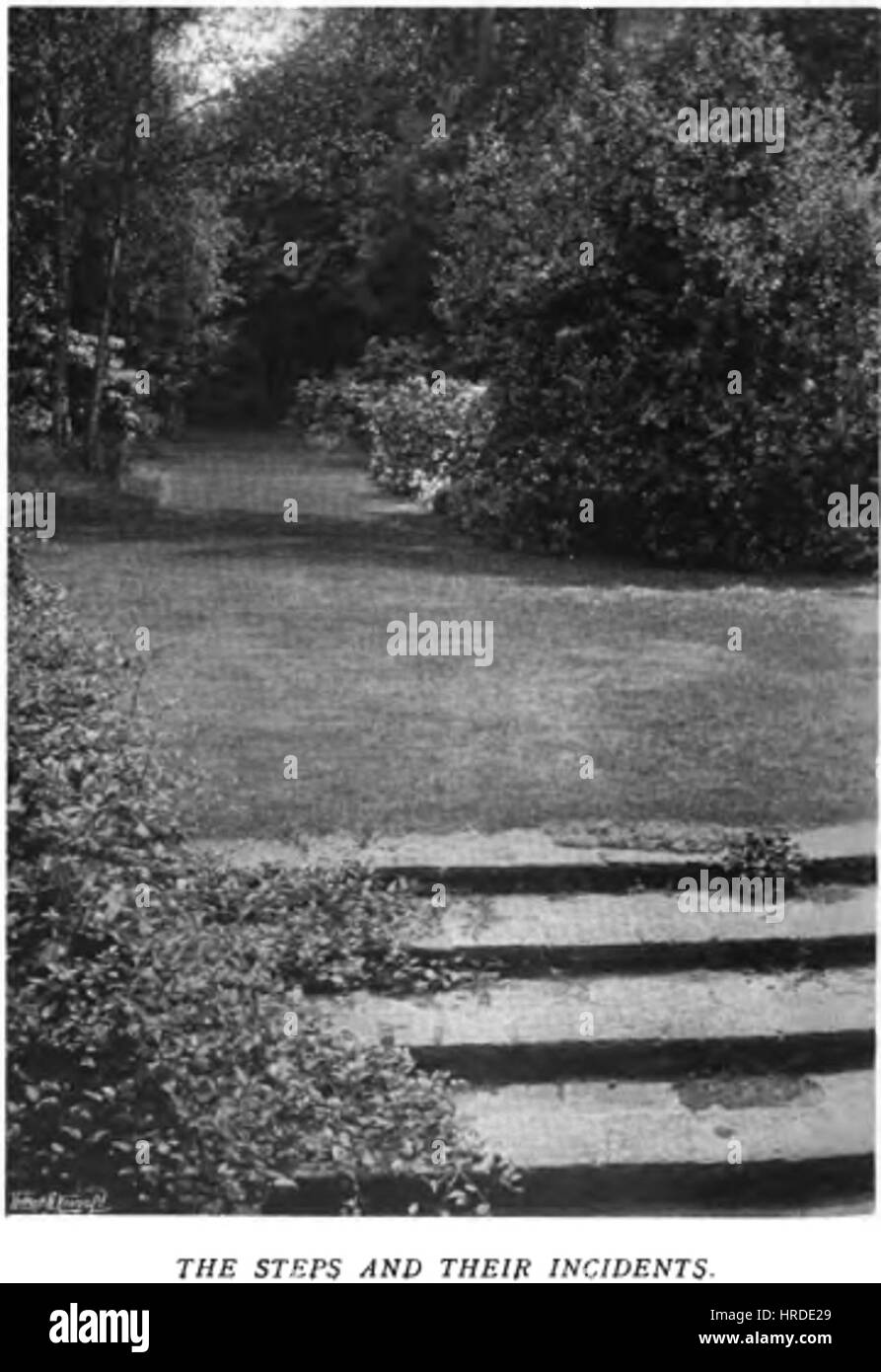 „Farbe im Blumengarten“ ist eine lebendige Darstellung eines Blumengartens in voller Blüte. Das Gemälde fängt den Reichtum und die Vielfalt der Blumenpalette ein und zeigt eine lebendige Vielfalt von Blumen vor einer üppigen, grünen Kulisse. Das Kunstwerk betont die Schönheit der Natur und das zarte Farbenspiel. Stockfoto