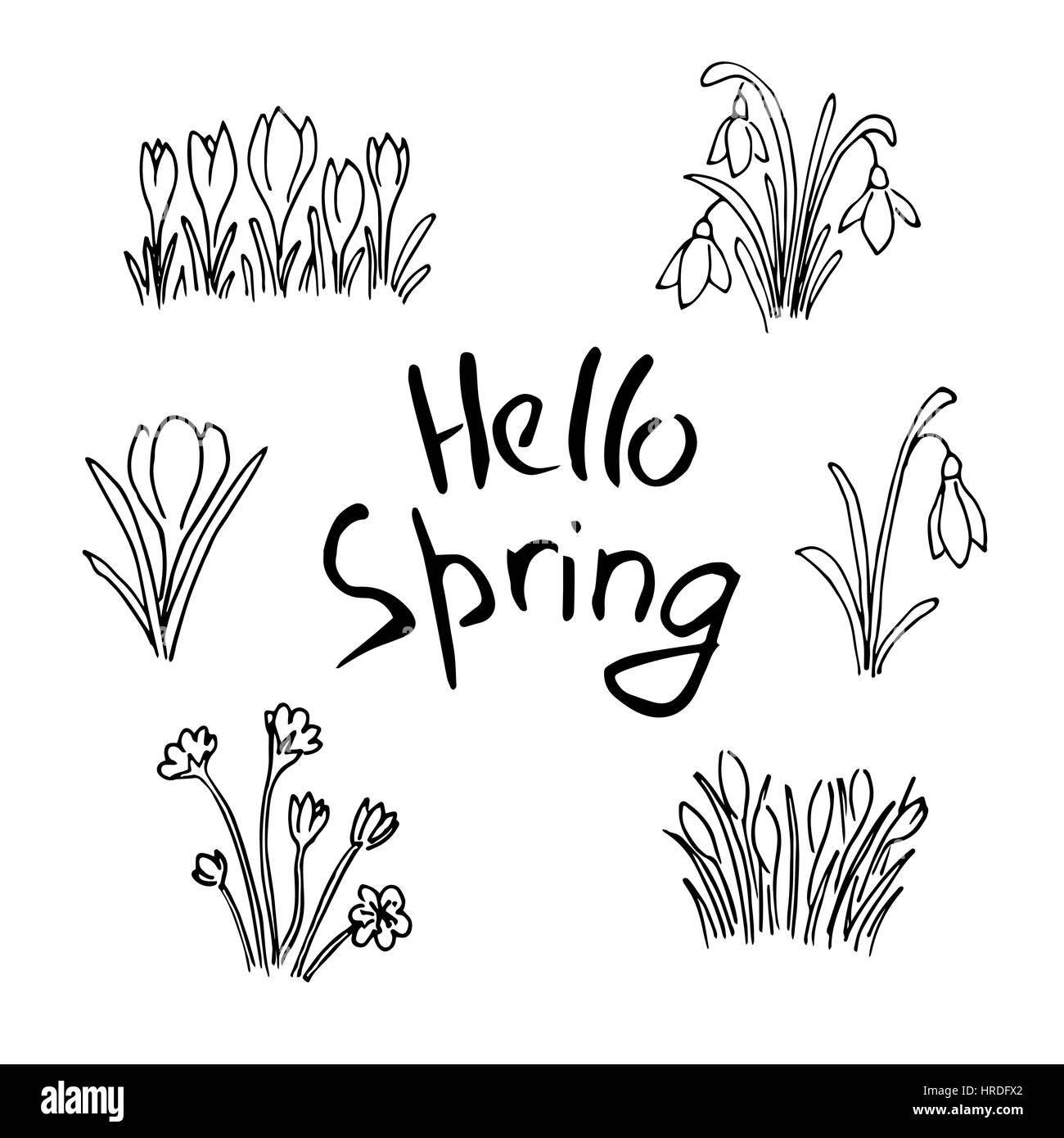 Hallo Frühling Skizze festgelegt. Blumen und Schriftzug. Süße lila Blumen, Schneeglöckchen, Krokusse, Tulpen, Skizze. Hand gezeichnet. Pinsel-Stift. Für Plakatwerbung, Stock Vektor