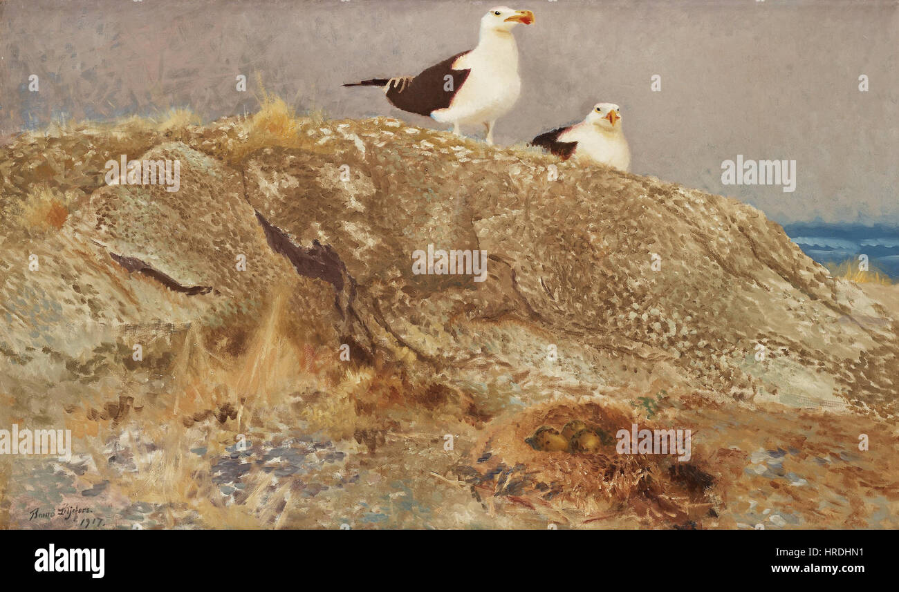 Bruno Liljefors’ „Havstrutar“ (Möwen) aus dem Jahr 1917 fängt eine Gruppe von Möwen in ihrem natürlichen Küstenhabitat ein. Das Gemälde unterstreicht die Schönheit und Bewegung der Vögel und zeigt Liljefors’ Meisterschaft bei der Erfassung von Wildtieren und Natur. Stockfoto