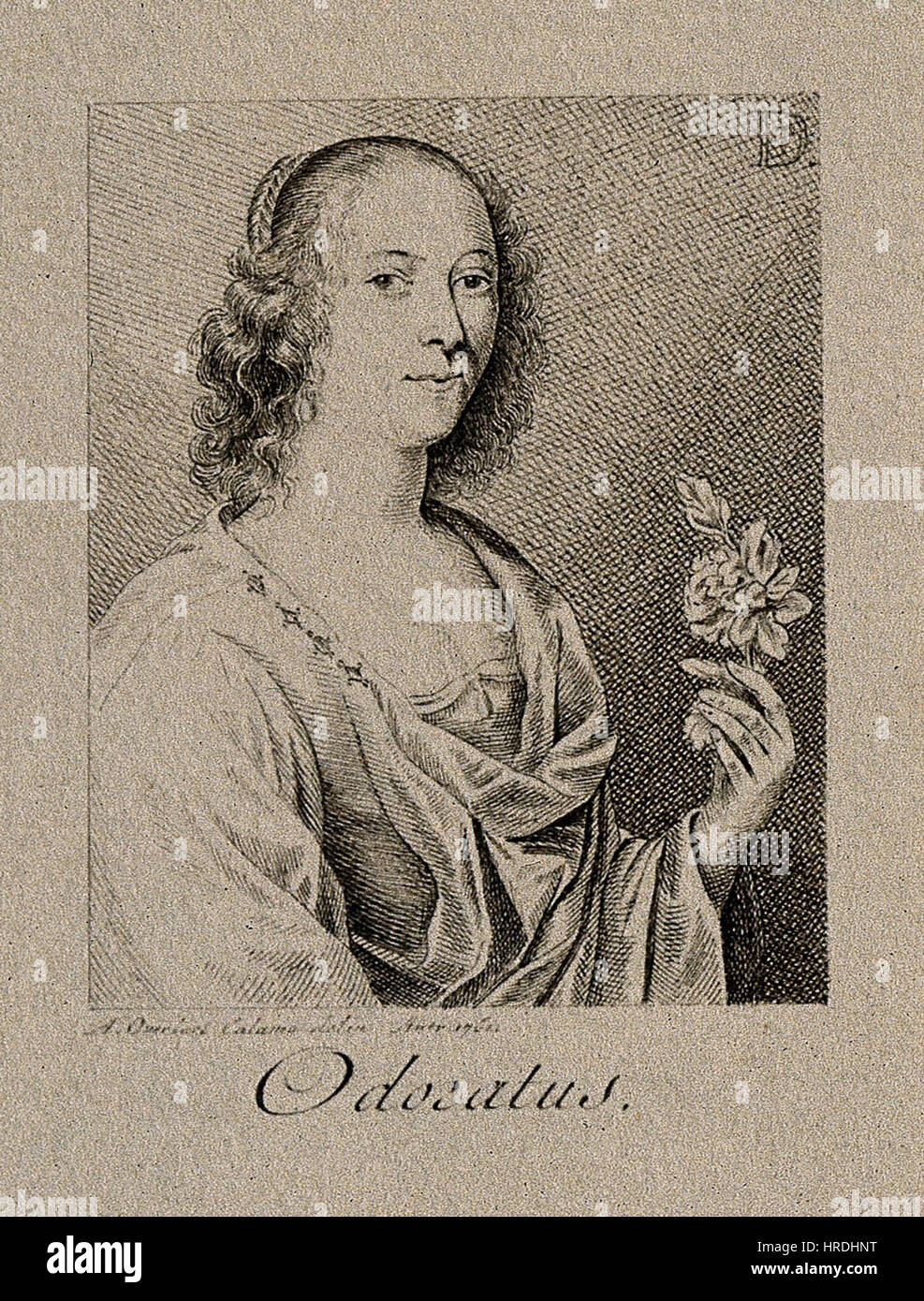 Eine Frau mit einer Blume; stellvertretend für den Geruchssinn. Stift-Wellcome-V0007691EBL Stockfoto