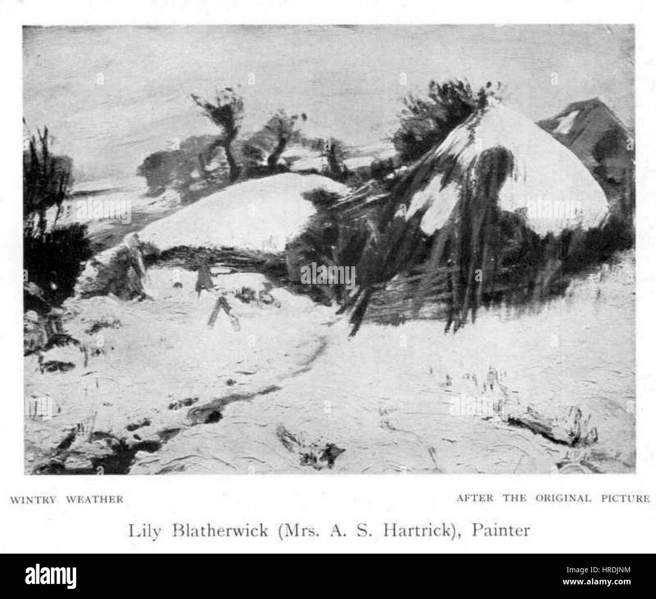 Lily Blatherwick - winterliche Wetter Stockfoto