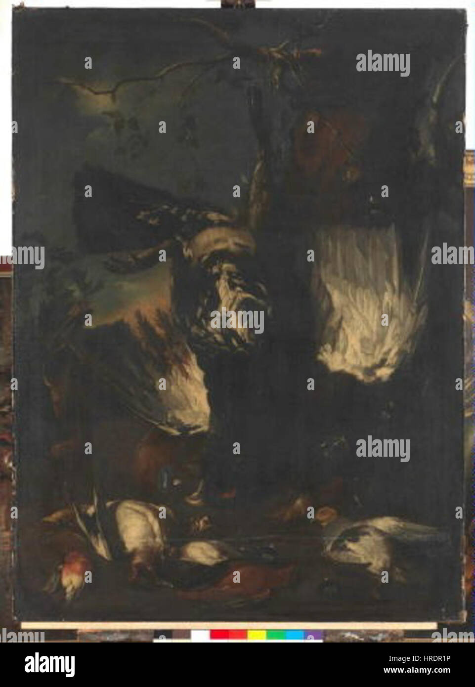 Franz Werner Tamm 6.3.1658-20.7.1724 - Zatisi s Mrtvym tetrevem Stockfoto