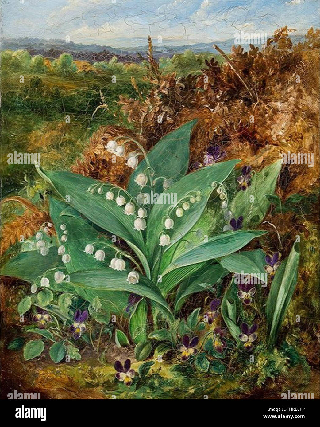 „Lilien of the Valley“ von Albert Durer Lucas ist eine botanische Studie, die die zarte und komplizierte Natur der Blumen veranschaulicht. Diese Arbeit verbindet die Präzision wissenschaftlicher Beobachtung mit der Schönheit künstlerischer Darstellung. Stockfoto