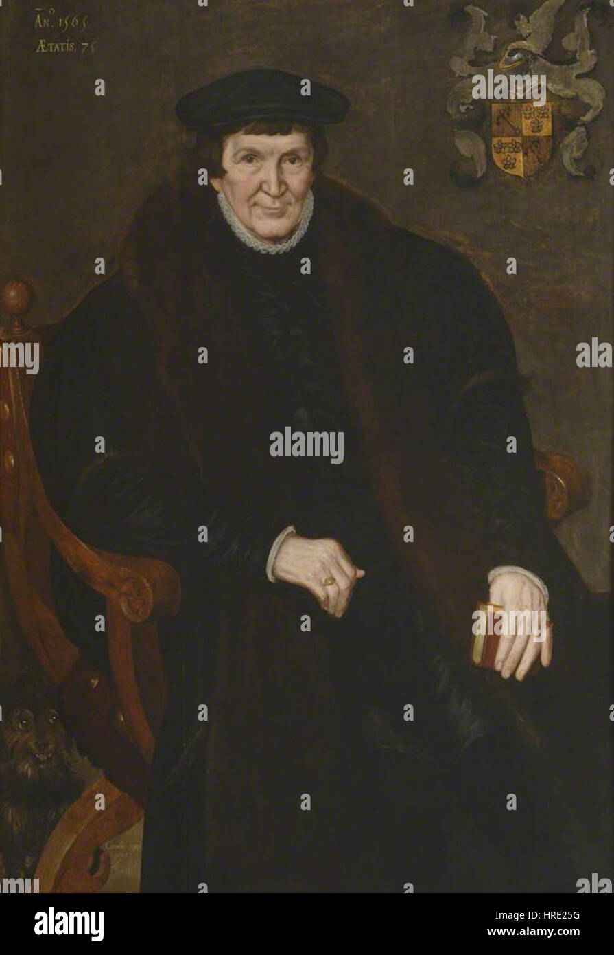 Cornelis de Zeeuw - Portrait eines Edelmannes (1565) Stockfoto