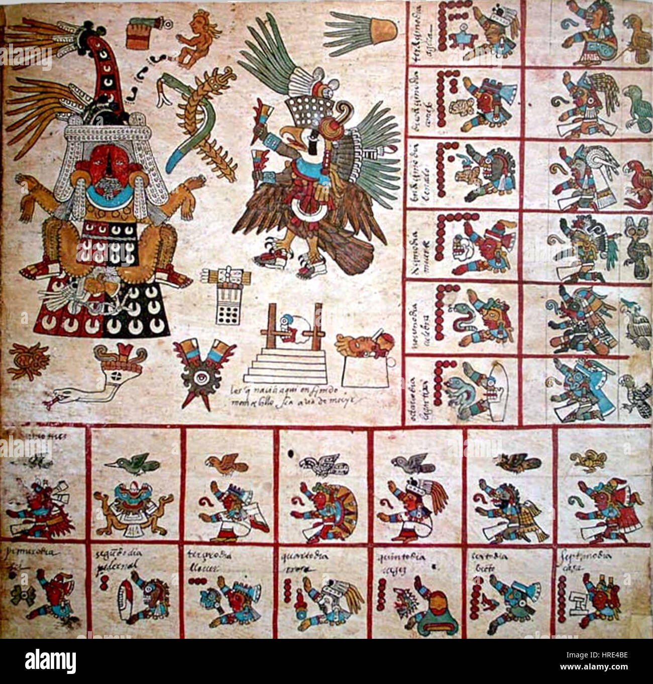Codex Borbonicus, p11-trecena13 Stockfoto