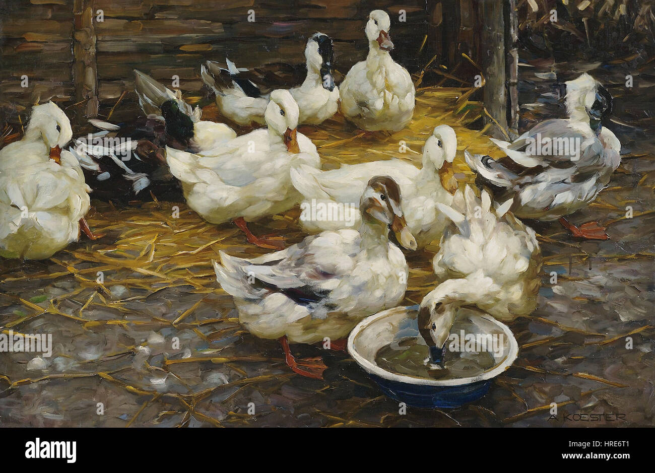 Alexander Koester Enten Im Stroh Stockfoto