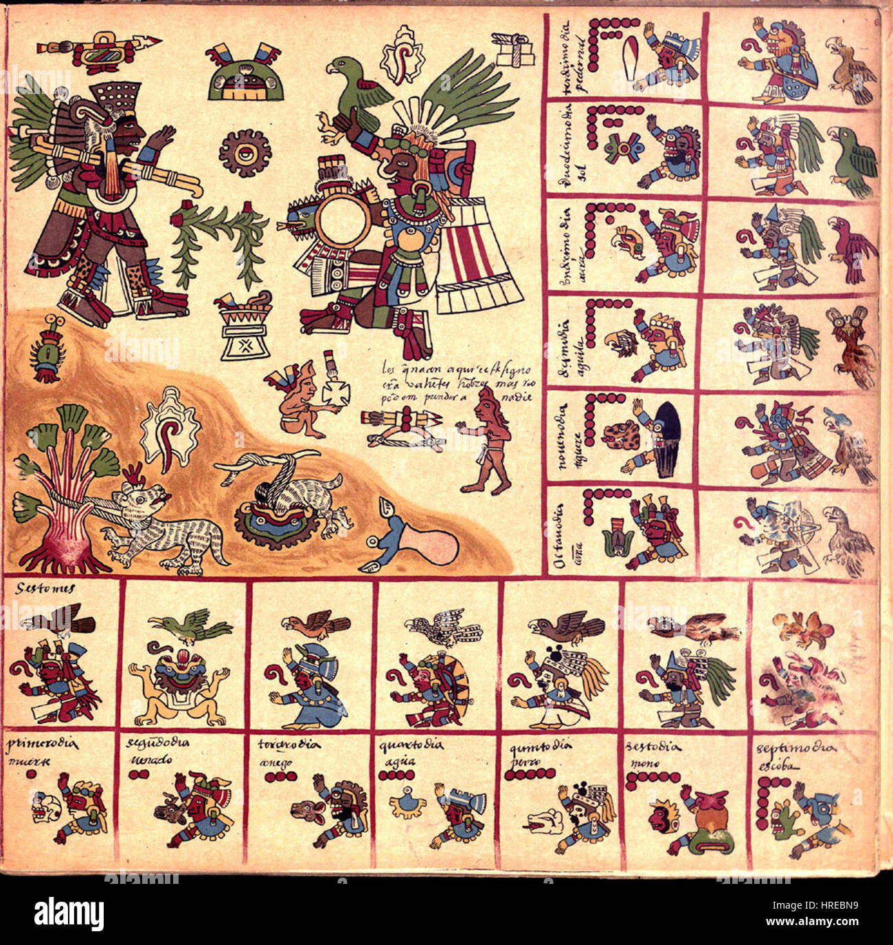 Codex Borbonicus (s. 6) Stockfoto
