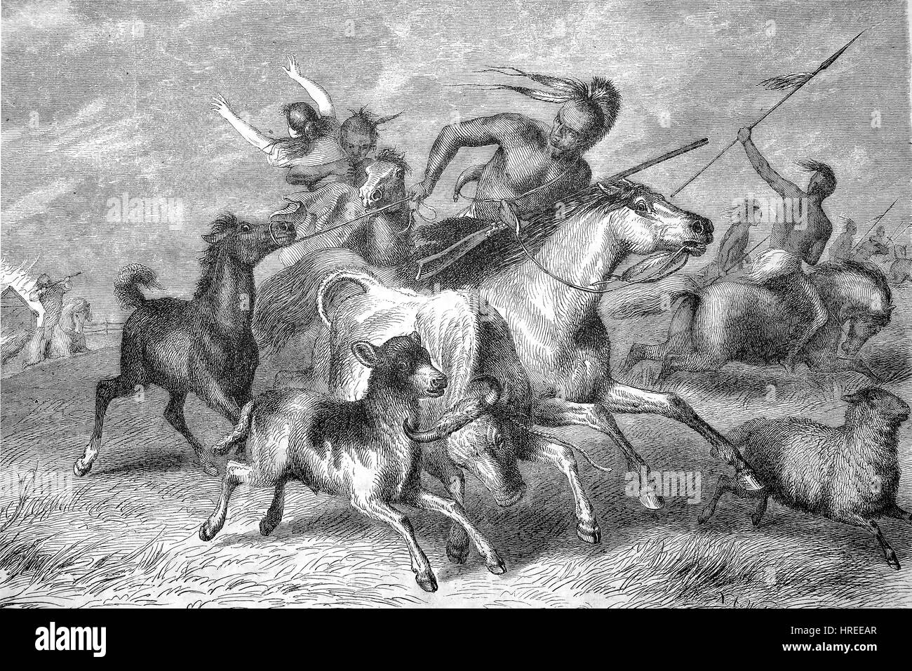 Indianer auf einen Überfall, Rob Rinder von einem Bauernhof, einem Artikel - die Gartenlaube - illustrierte Familie Blatt, Reproduktion von einem Holzschnitt aus dem 19. Jahrhundert, 1885 Stockfoto