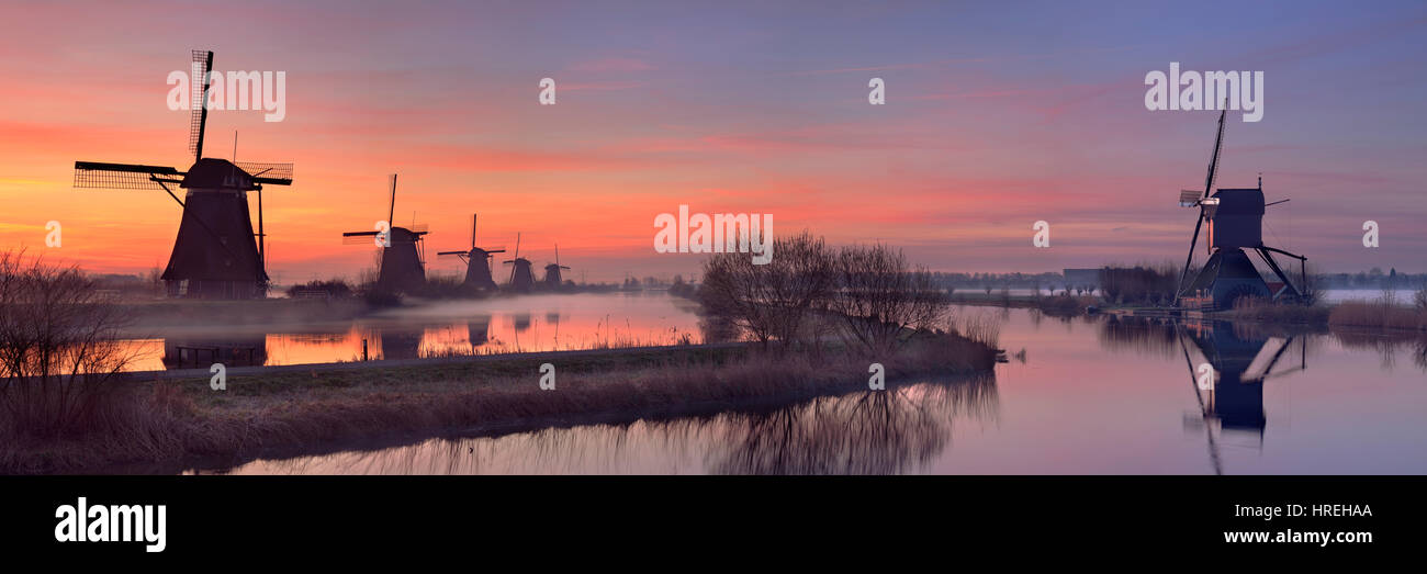 Traditionelle holländische Windmühlen kurz vor Sonnenaufgang. Die berühmte Kinderdijk fotografierte. Stockfoto