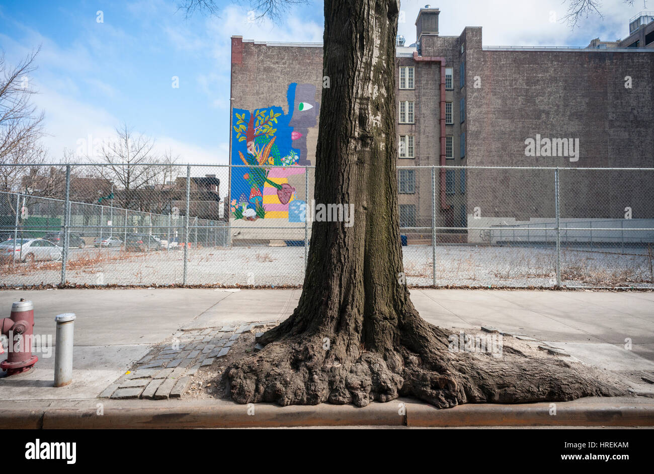 Eine Straße Baum in der Nähe von Hudson Square von New York auf Samstag, 25. Februar 2017. (© Richard B. Levine) Stockfoto