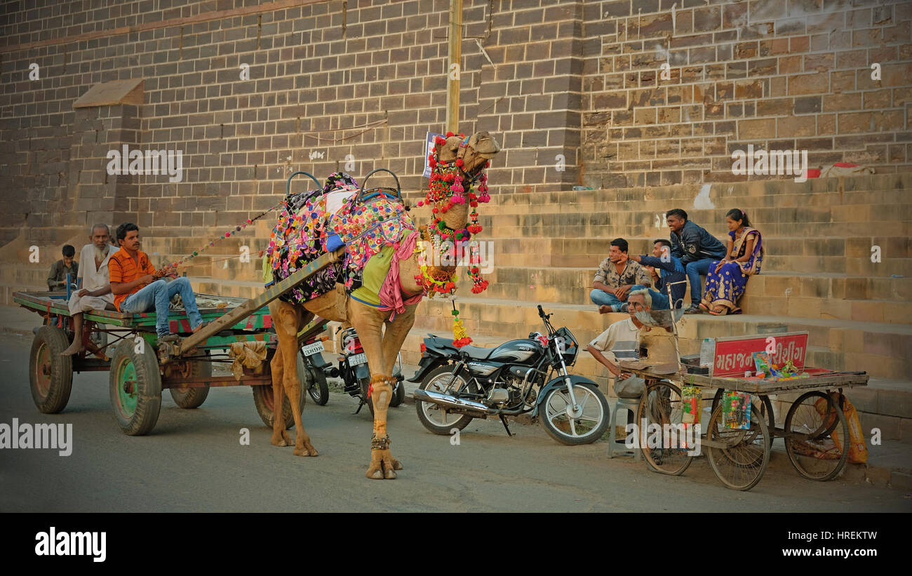 Eine bunt dekorierte Kamel und Wagen, eine traditionelle Form des Verkehrs in der Region getrieben auf einer Straße außerhalb der alten Stadtmauern von Bhuj, Indien Stockfoto
