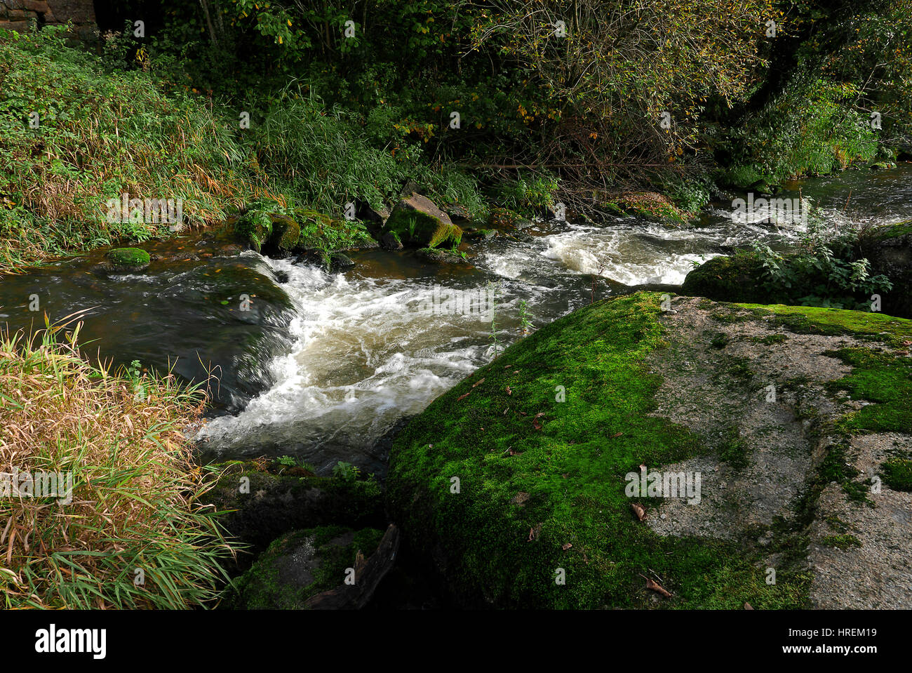 Fluss im Herbst, 'La Colmont' (Nord Mayenne, Pays De La Loire, Frankreich). Stockfoto