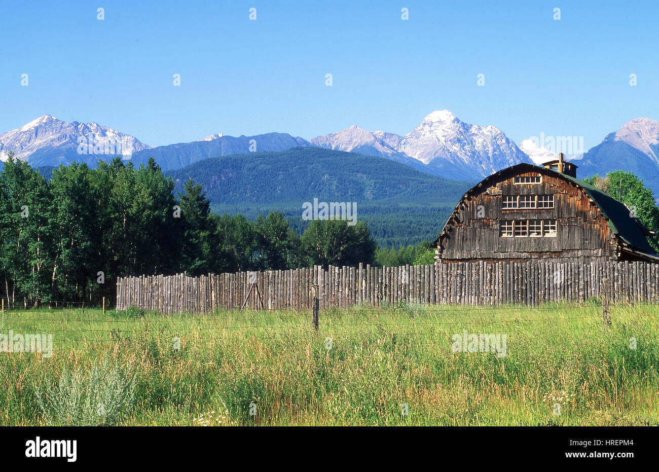 Spillimacheen Fotos und Bildmaterial in hoher Auflösung Alamy