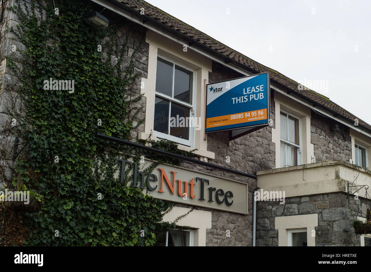 Die Nuss Baum Public House in Worle, Weston-Super-mare England, geschlossen und Mietvertrag für Verkauf. Stockfoto