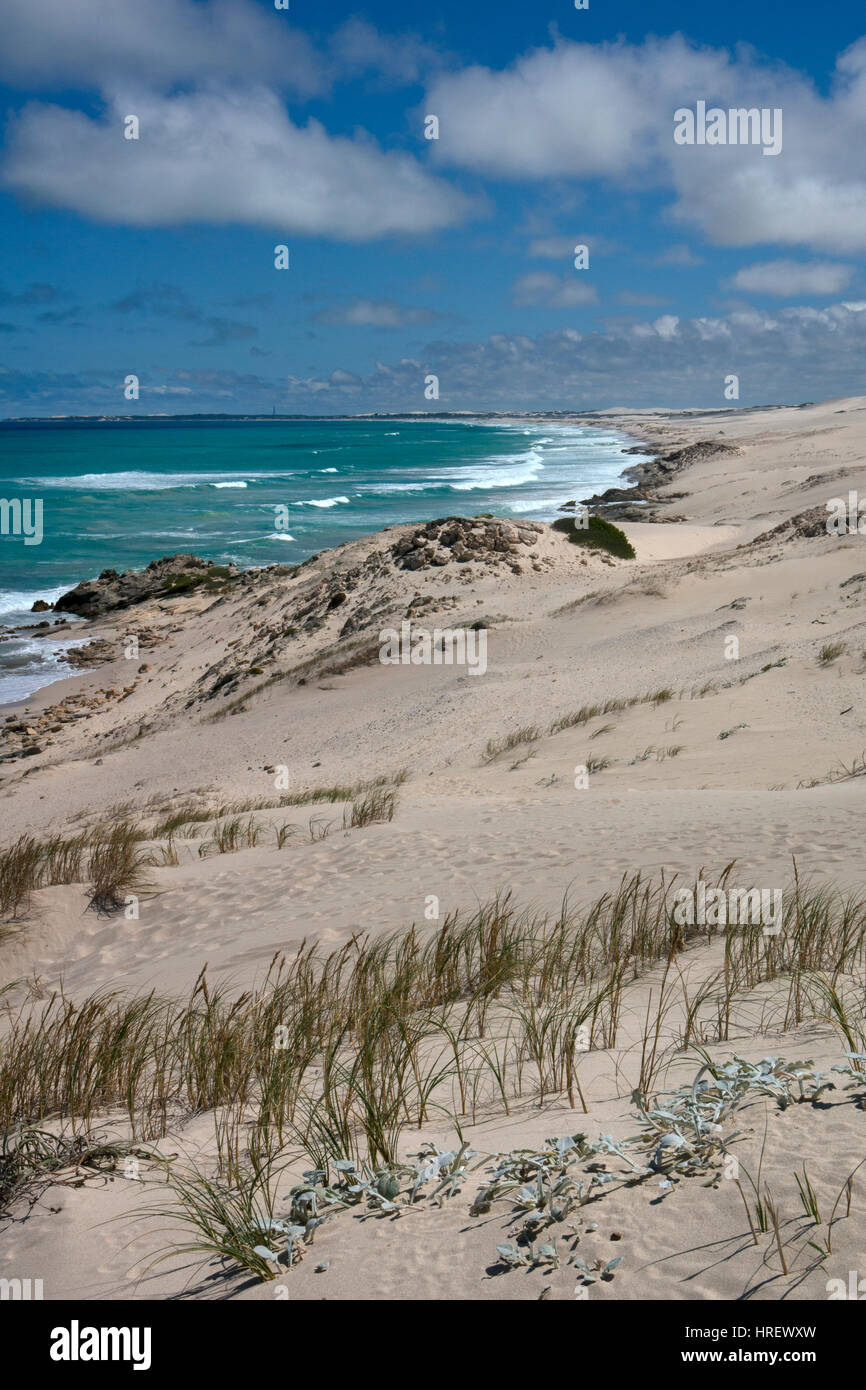 Sand, Dünen und Küste im De Hoop Nature Reserve, Overberg, Western Cape, Südafrika Stockfoto