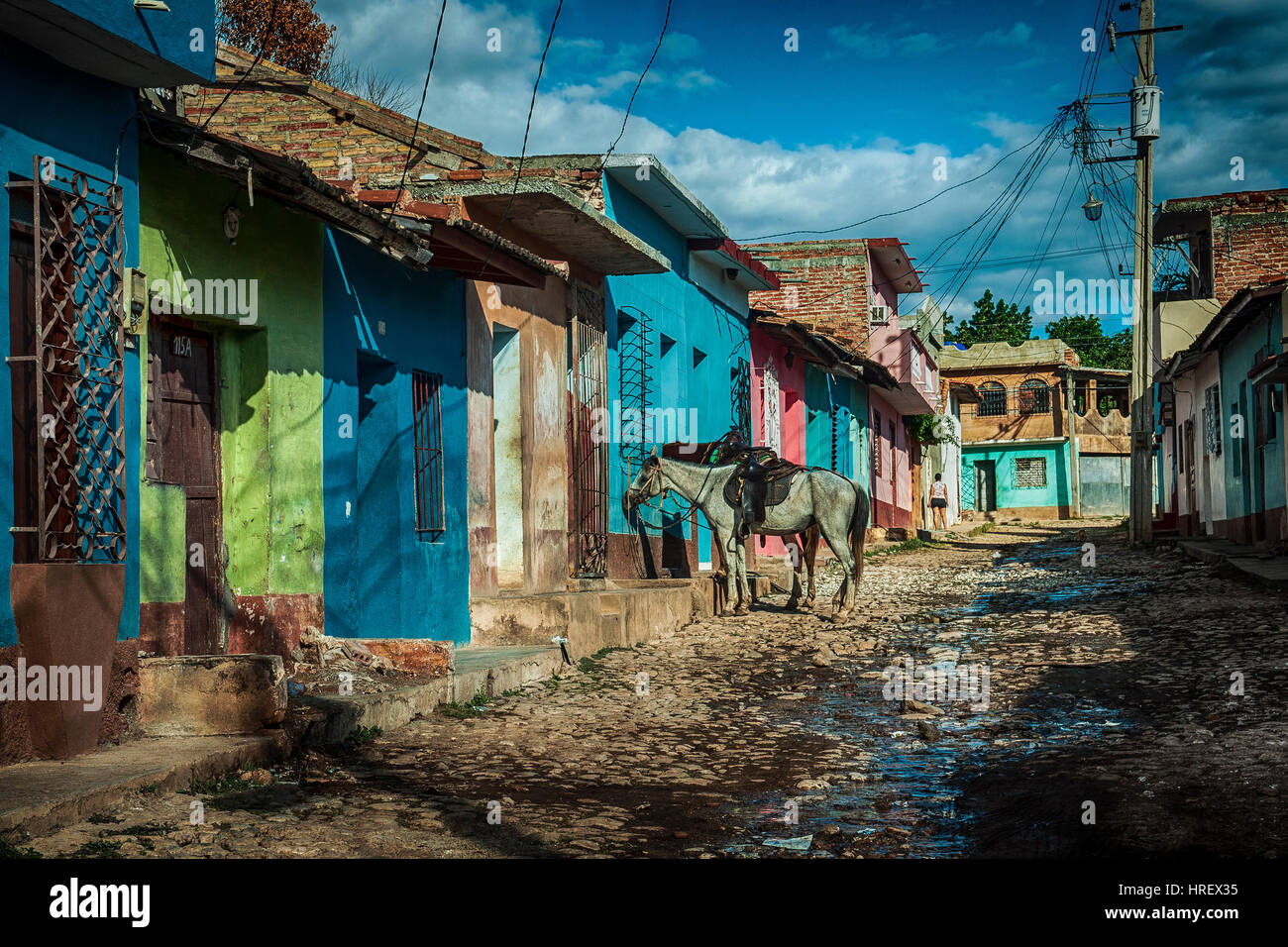 Pferde auf einer gepflasterten Straße, gebunden an ein Fenster aus einer Reihe von bunten Häusern am Stadtrand von Trinidad, Kuba Stockfoto