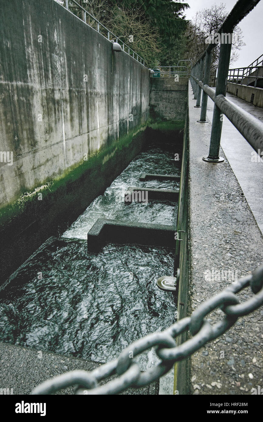 Die Hiram M. Chittenden gesperrt wird, oder Ballard Locks Stockfoto