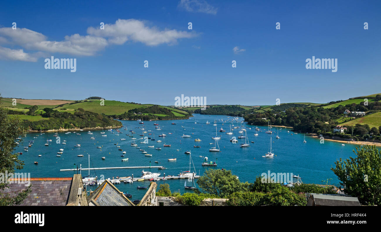 Fluss Dart Devon Blick vom Hügel Stockfoto