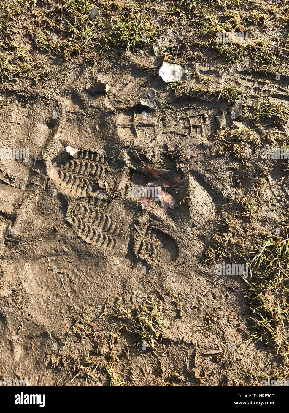 Bootprints im Schlamm. Stockfoto