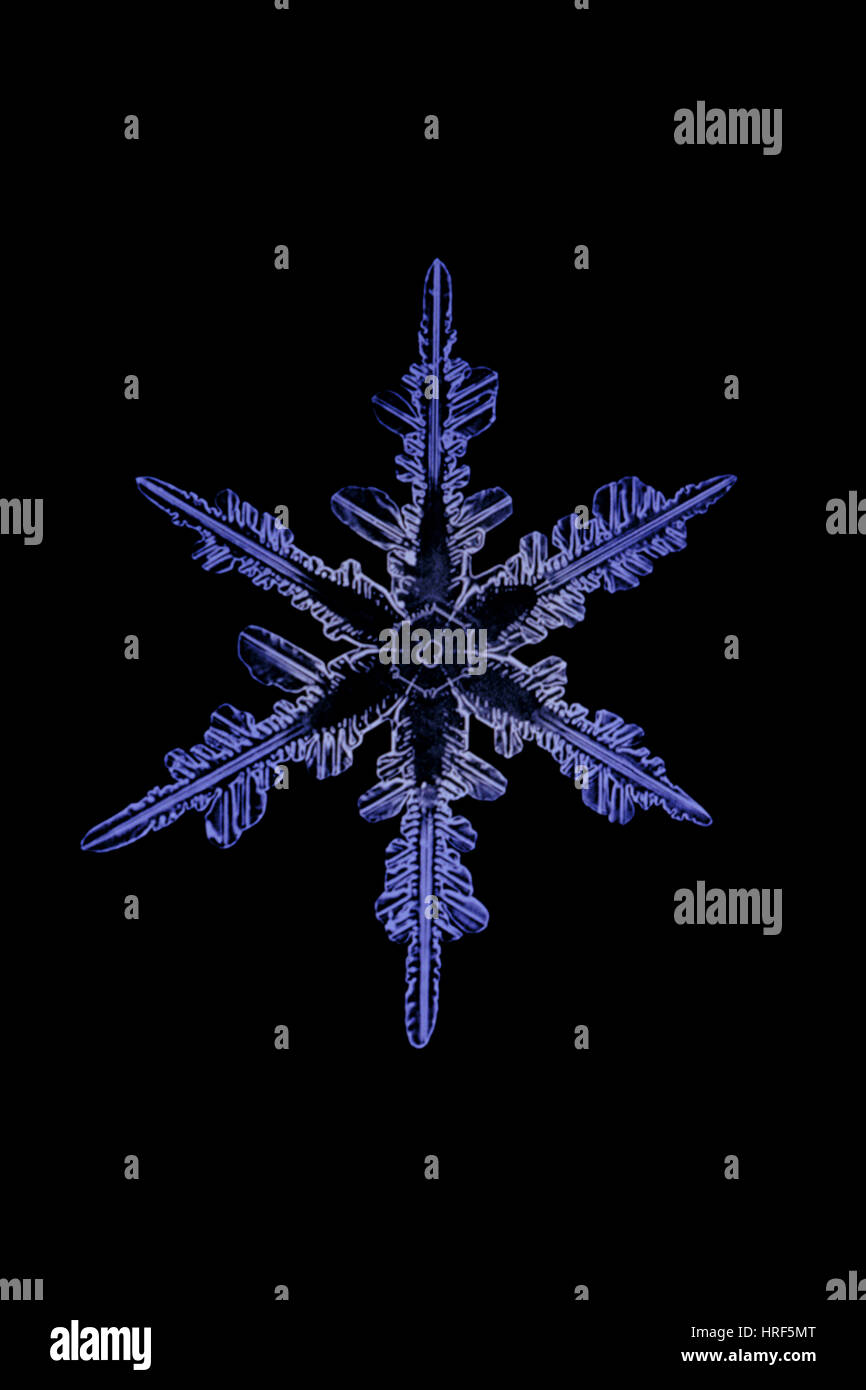 Schneeflocke-Kristall Stockfoto