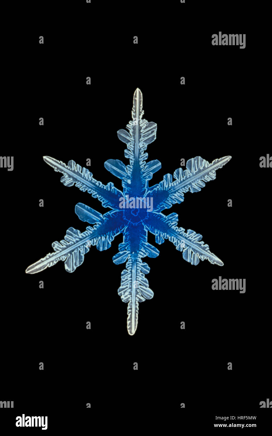 Schneeflocke-Kristall Stockfoto