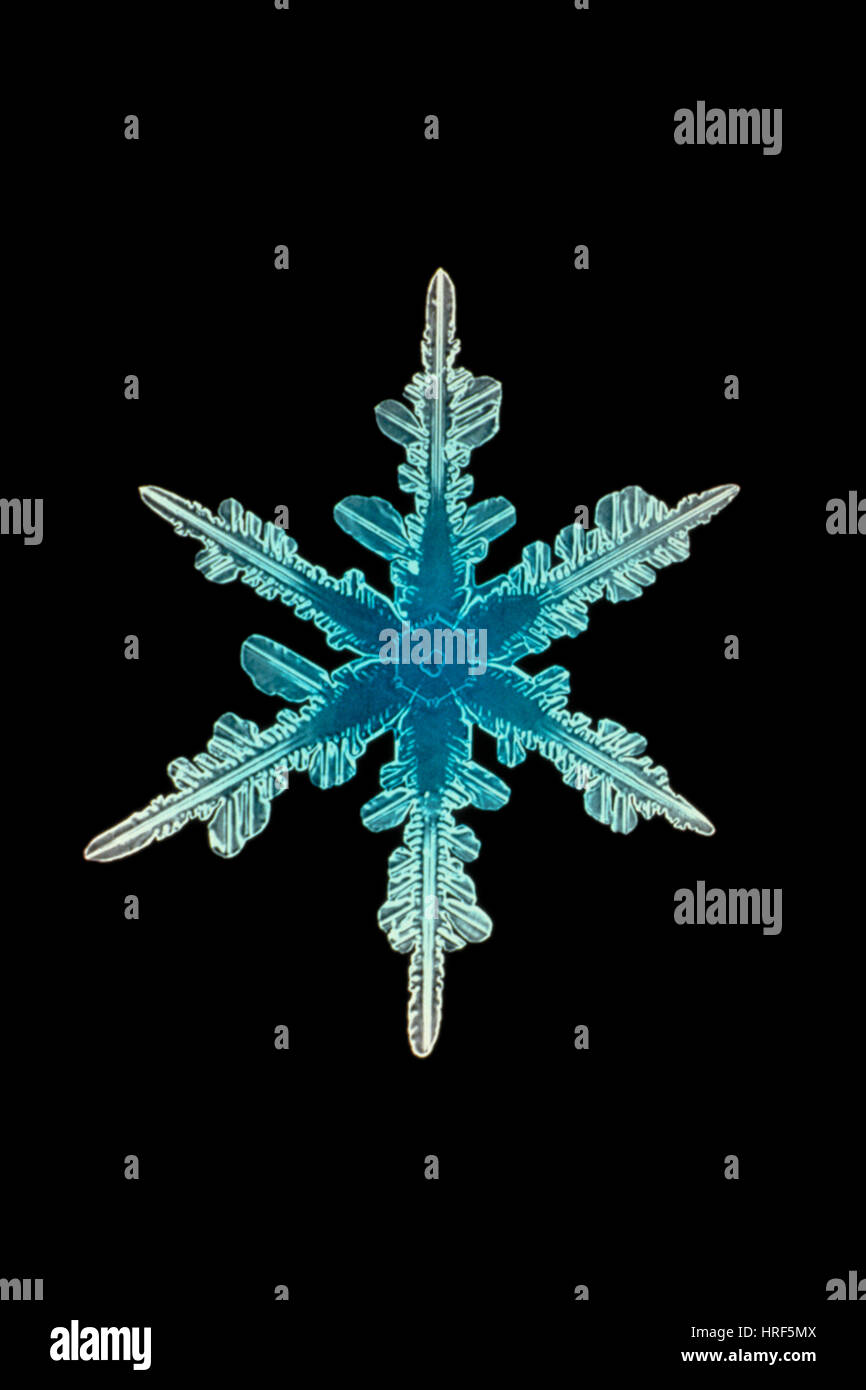 Schneeflocke-Kristall Stockfoto