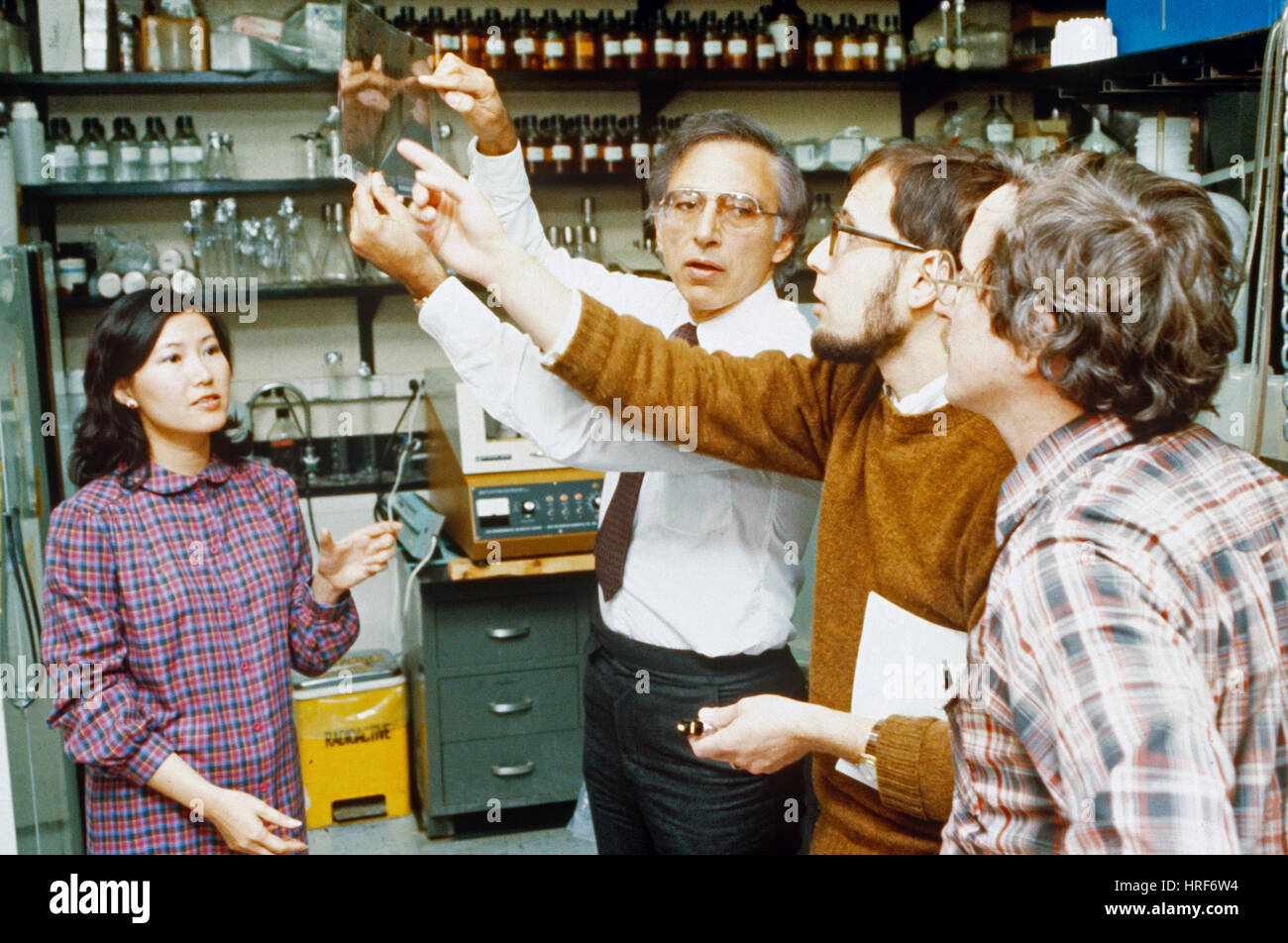 Robert Gallo und Kollegen Stockfoto