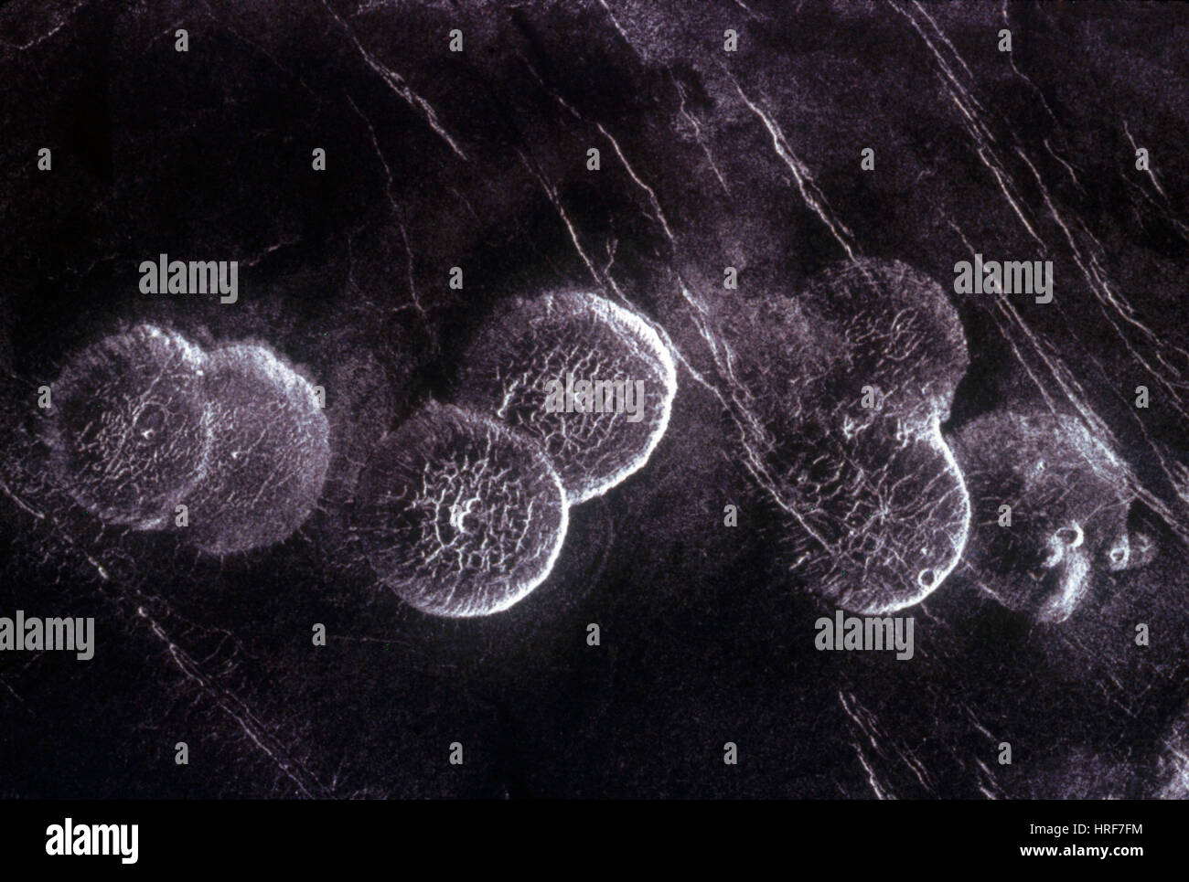 Venus, Alpha Regio, Vulkan Kuppeln Stockfoto