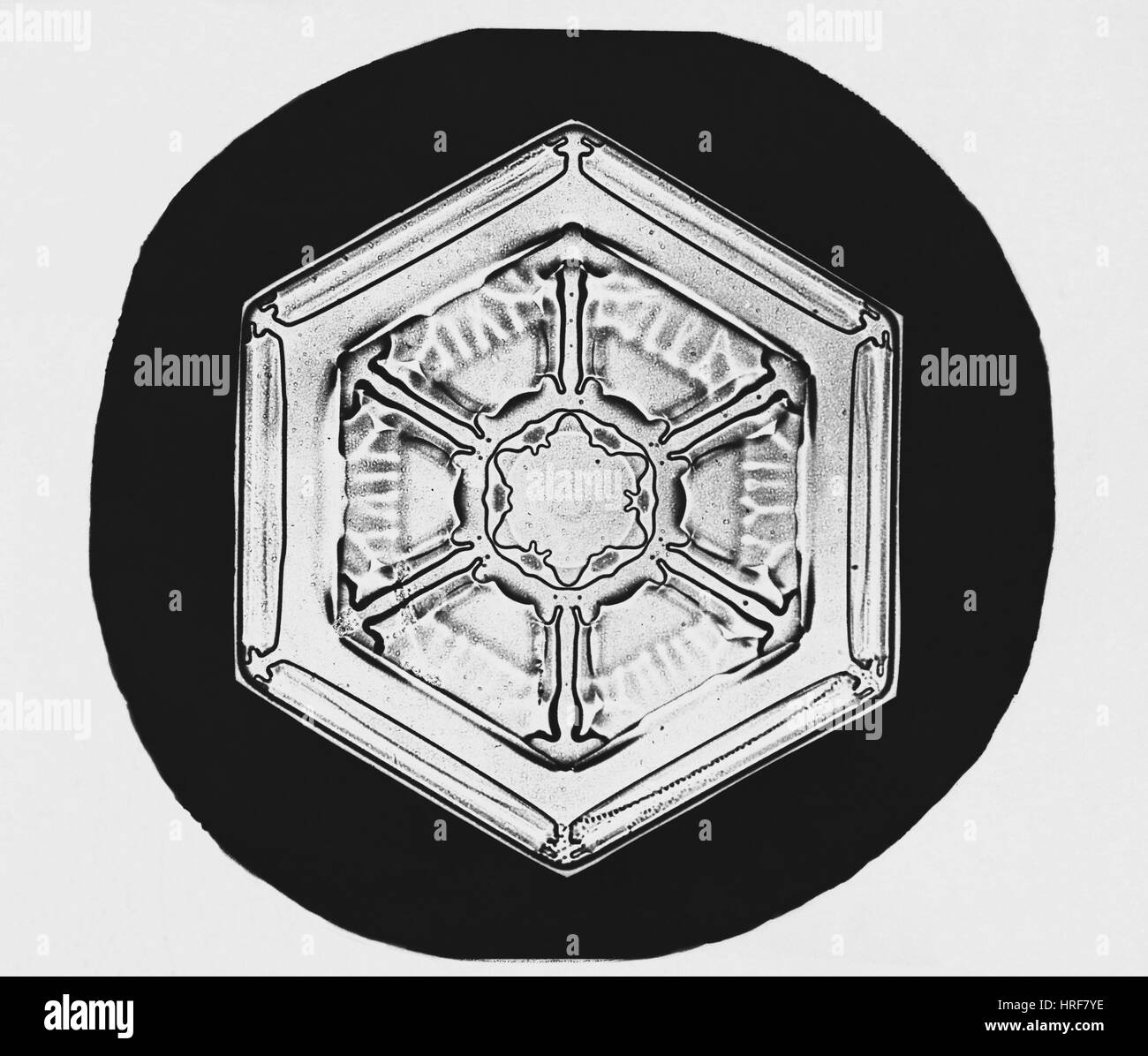 Schneeflocke Stockfoto