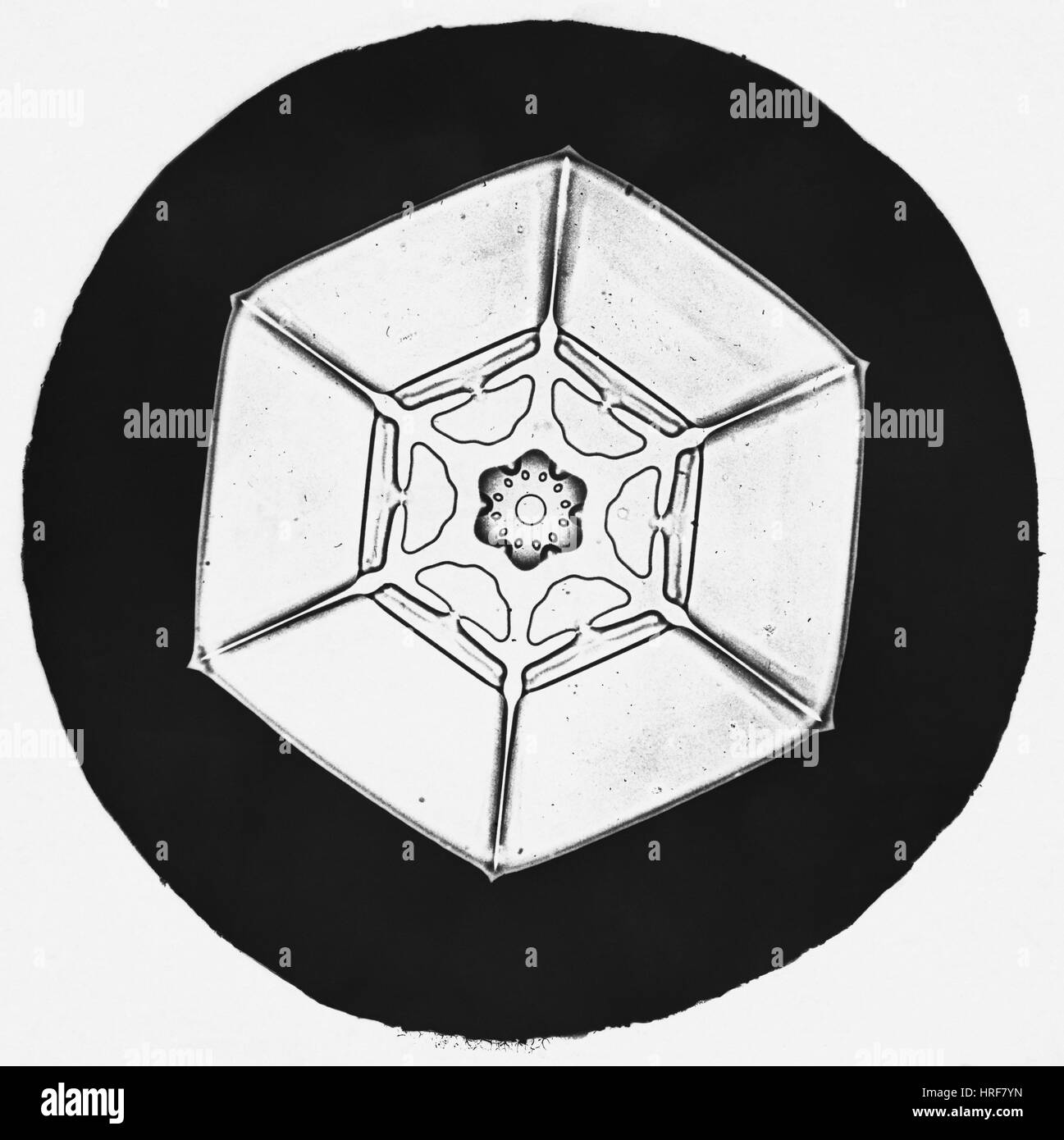 Schneeflocke Stockfoto