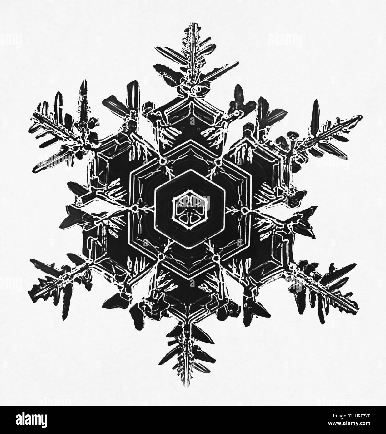 Schneeflocke Stockfoto