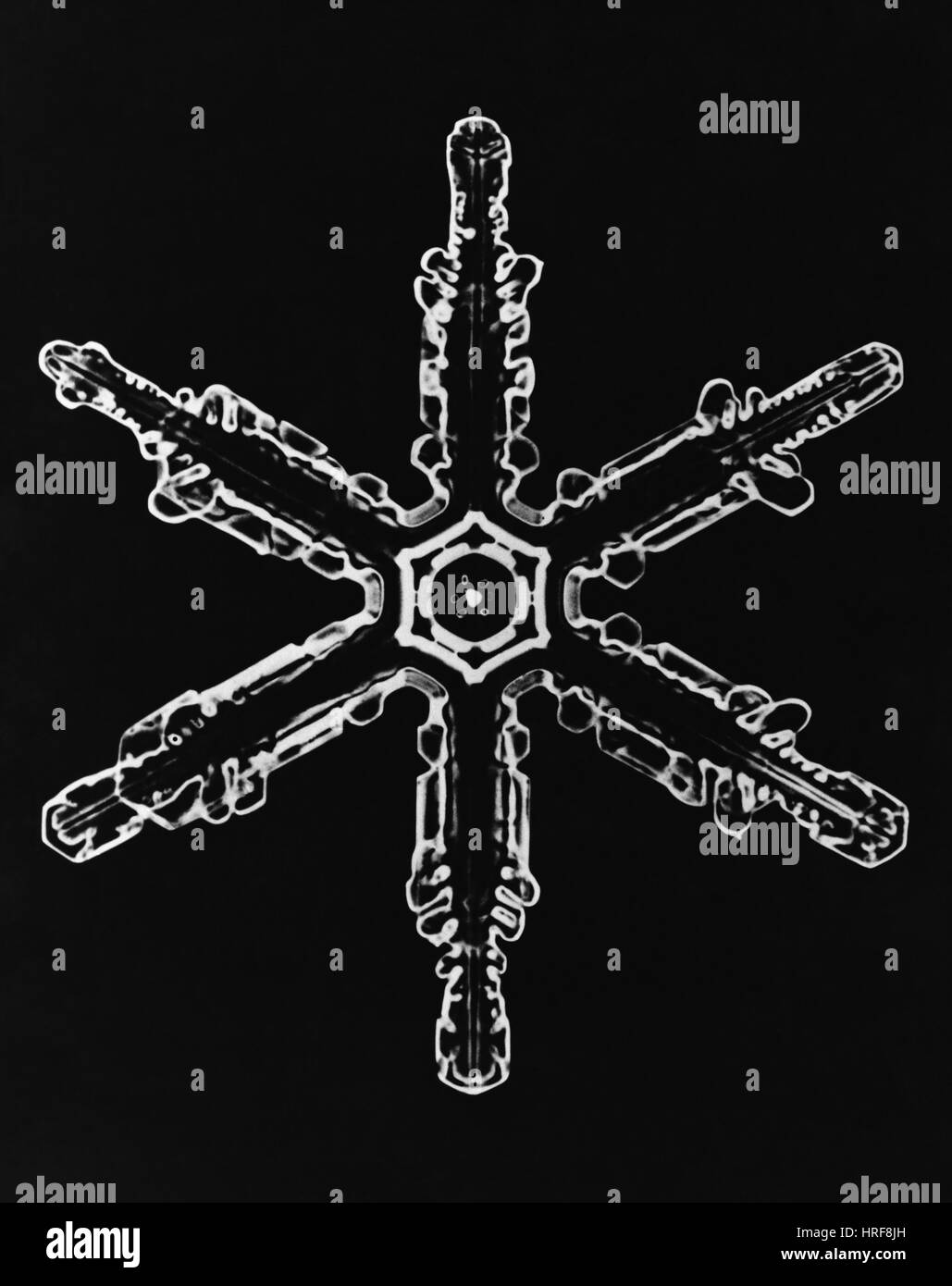 Schneeflocke Stockfoto