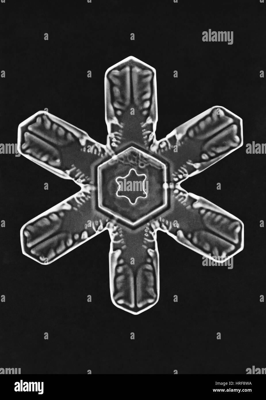 Schneeflocke Stockfoto