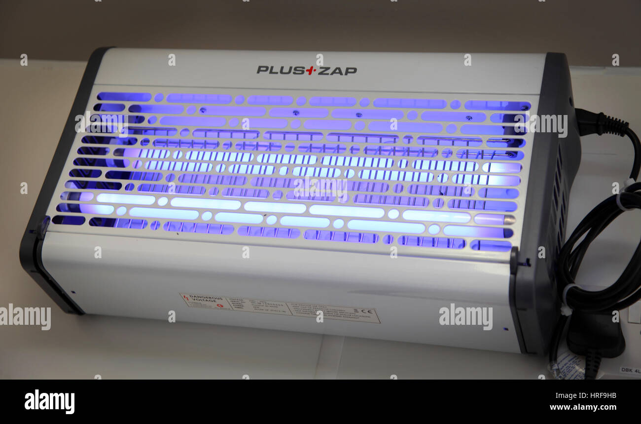 Ein Zap Plus Fly Killer in Aktion. Insect killer, Fliege Kammerjäger. Stockfoto