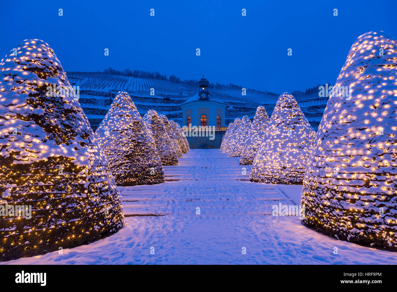 Belvedere-Pavillon im Winter vor Weinberge mit Weihnachtsbeleuchtung, Weingut Schloss Wackerbarth, Radebeul, Sachsen Stockfoto