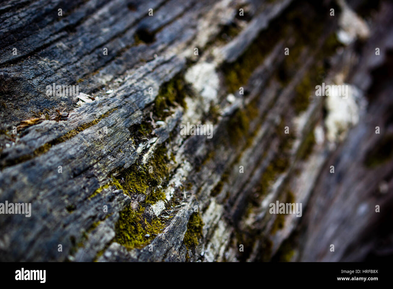 Struktur Stockfotos & Struktur Bilder - Alamy